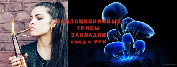 бошки Алексеевка