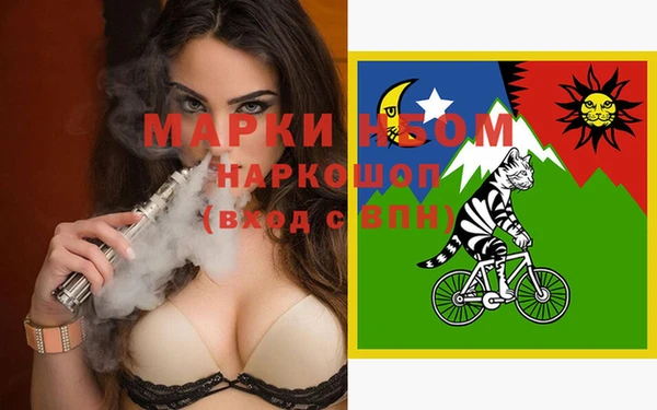 СК Алзамай