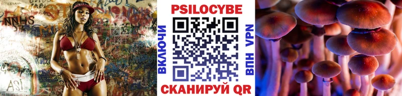 где купить наркоту Анива Псилоцибиновые грибы ЛСД